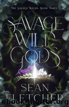 Savage Wild Gods (The Savage Wilds Book 3) by Sean Fletcher