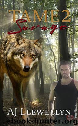 Savage by A.J. Llewellyn
