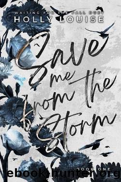 Save Me From The Storm by Holly Louise