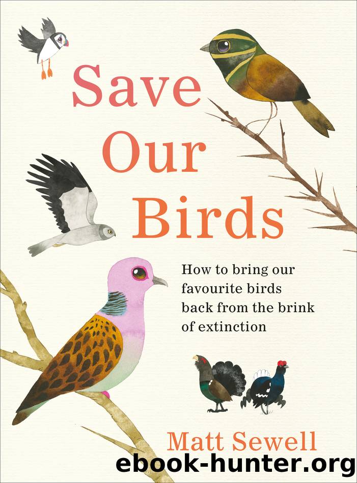 Save Our Birds by Matt Sewell