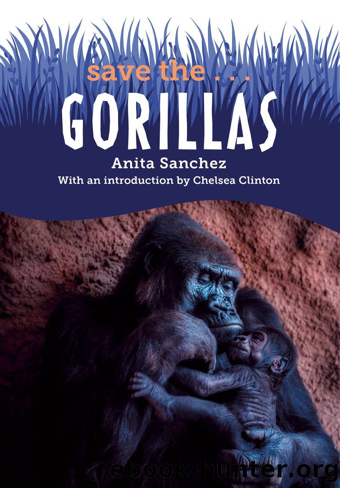 Save the...Gorillas by Anita Sanchez & Chelsea Clinton