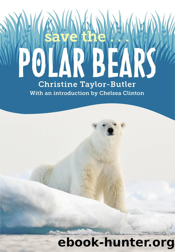 Save the...Polar Bears by Christine Taylor-Butler & Chelsea Clinton