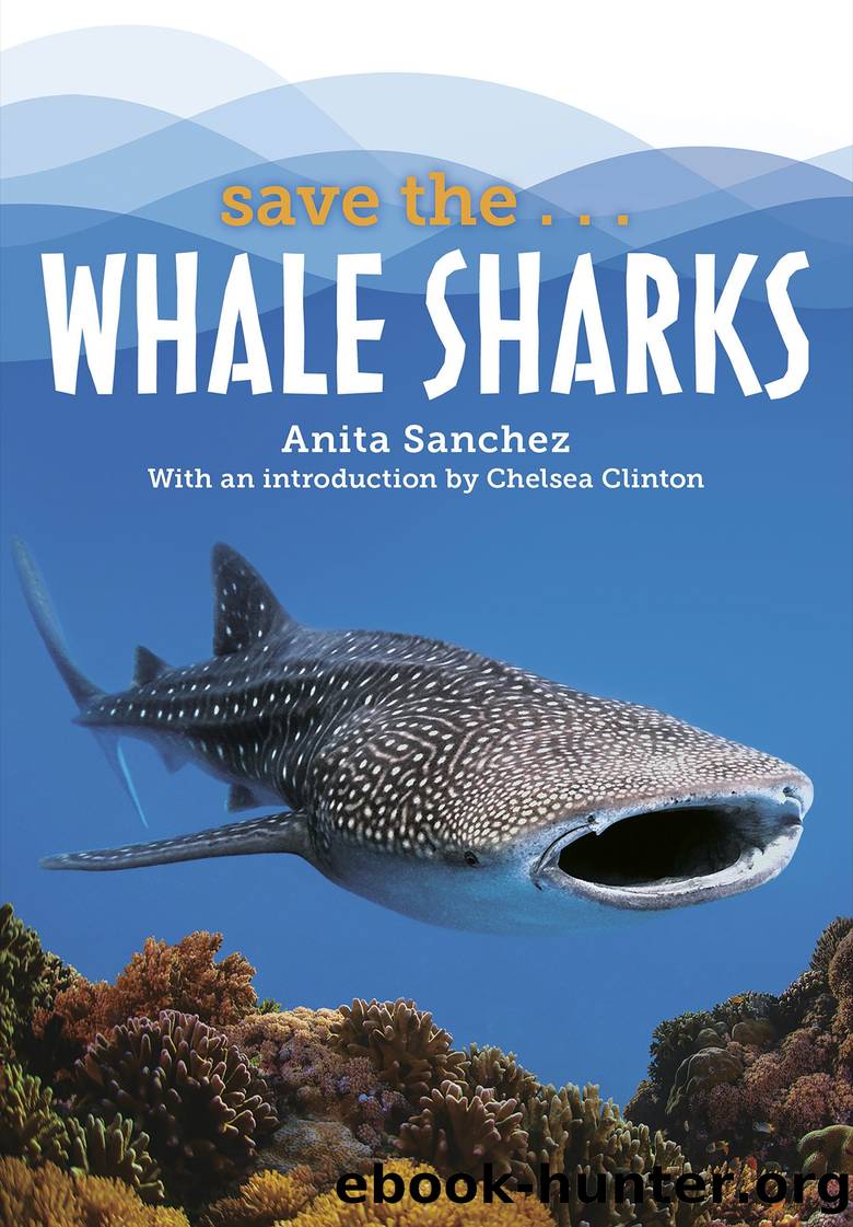 Save the...Whale Sharks by Anita Sanchez & Chelsea Clinton