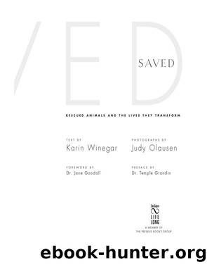 Saved by Karin Winegar