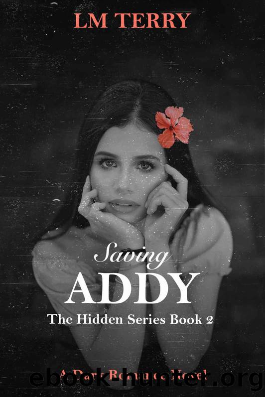 Saving Addy (Hidden Series Book 2) by LM Terry