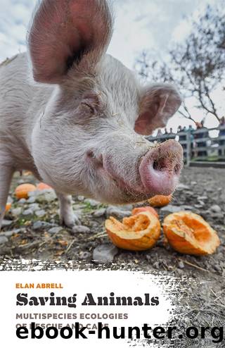 Saving Animals by Elan Abrell