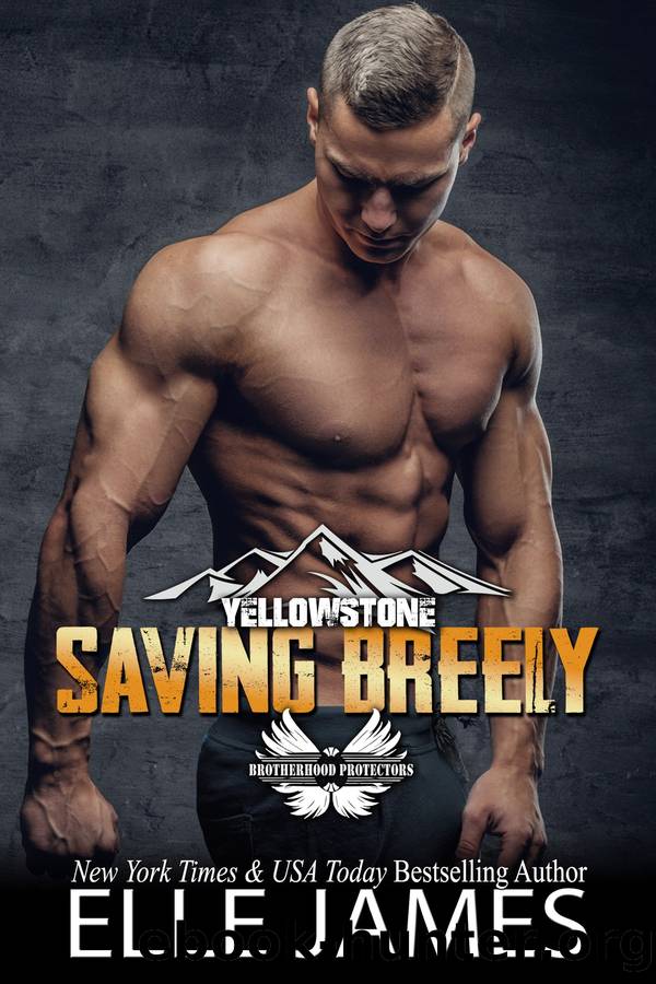 Saving Breely by Elle James