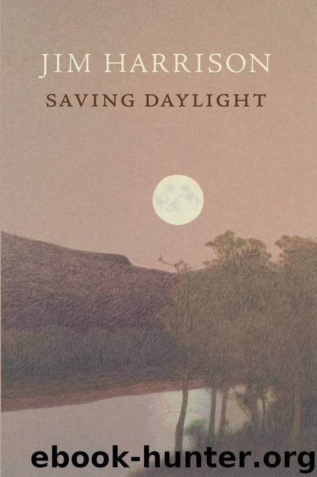 Saving Daylight by Jim Harrison