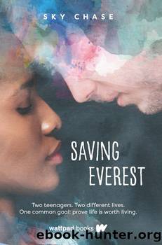 Saving Everest by Sky Chase