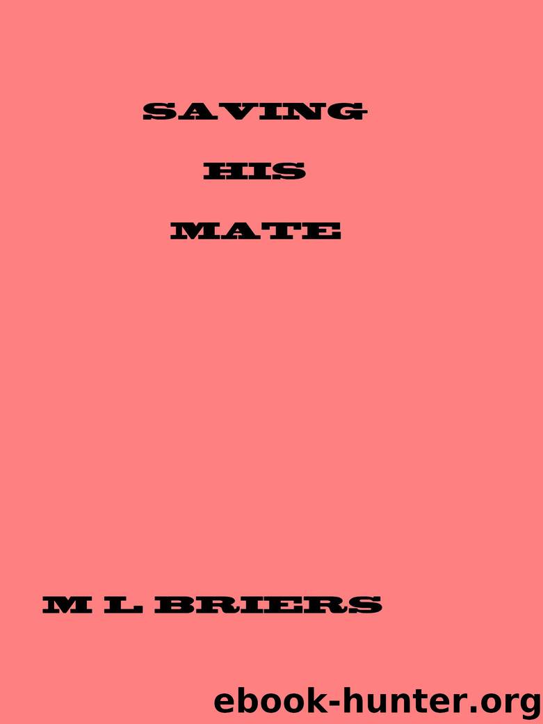 Saving His Mate by M. L. Briers