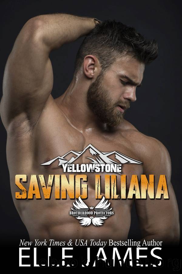 Saving Liliana by Elle James
