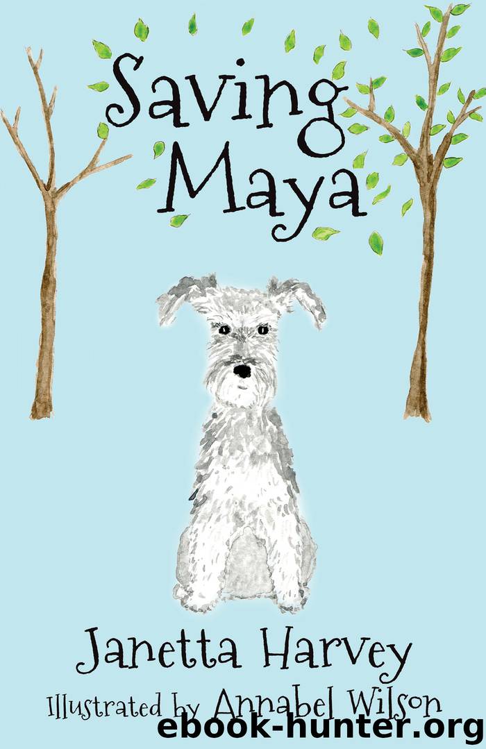 Saving Maya by Janetta Harvey
