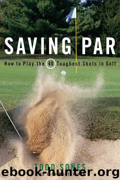 Saving Par by Todd Sones
