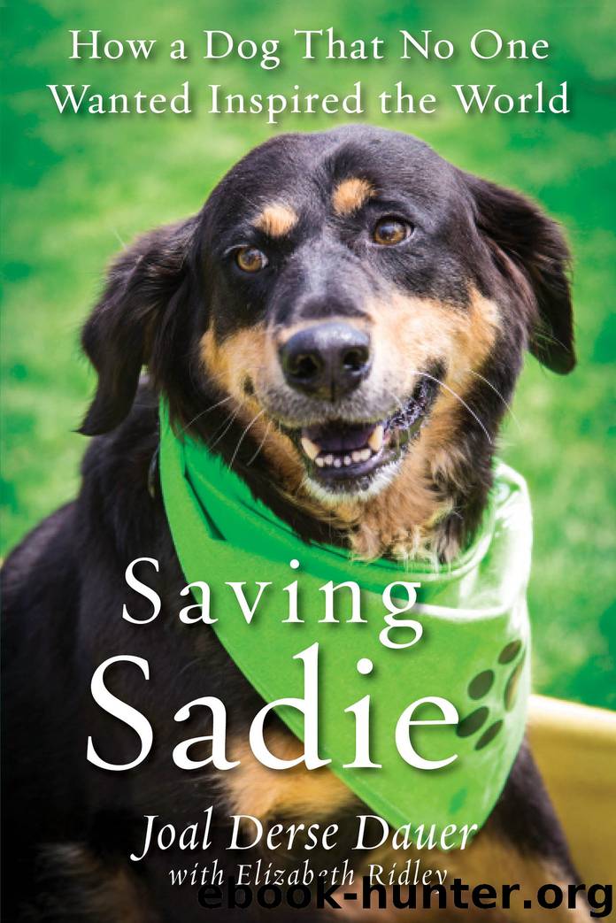 Saving Sadie by Joal Derse Dauer