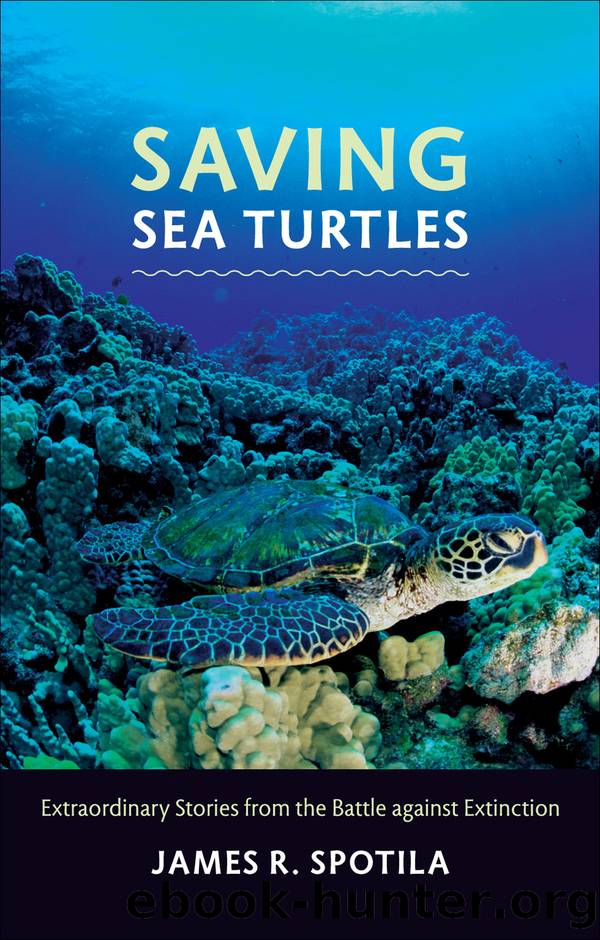 Saving Sea Turtles by James R. Spotila