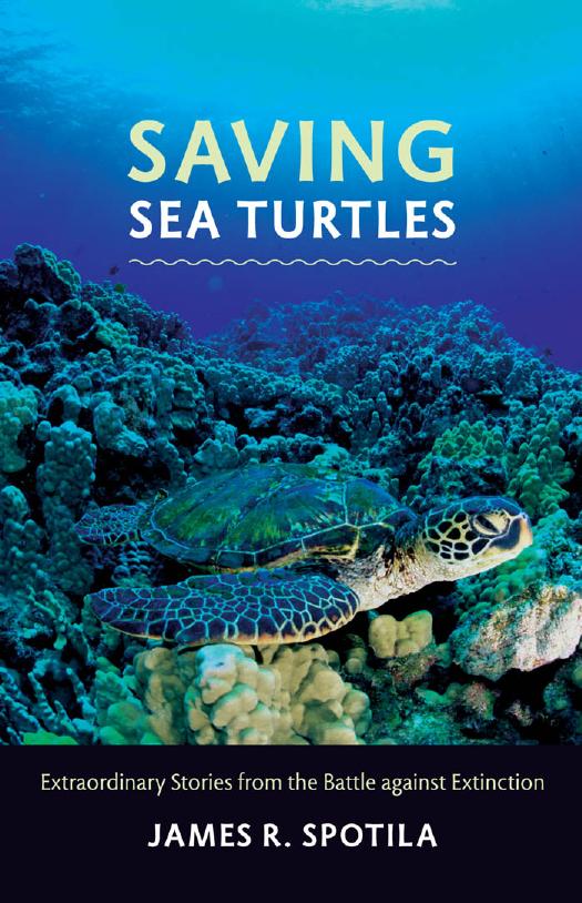 Saving Sea Turtles: Extraordinary Stories from the Battle against Extinction by James R. Spotila