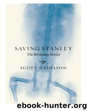 Saving Stanley by Scott Nadelson