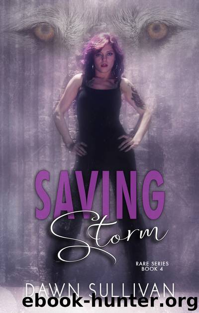 Saving Storm by Dawn Sullivan