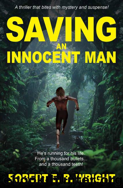 Saving an Innocent Man by Robert E B Wright