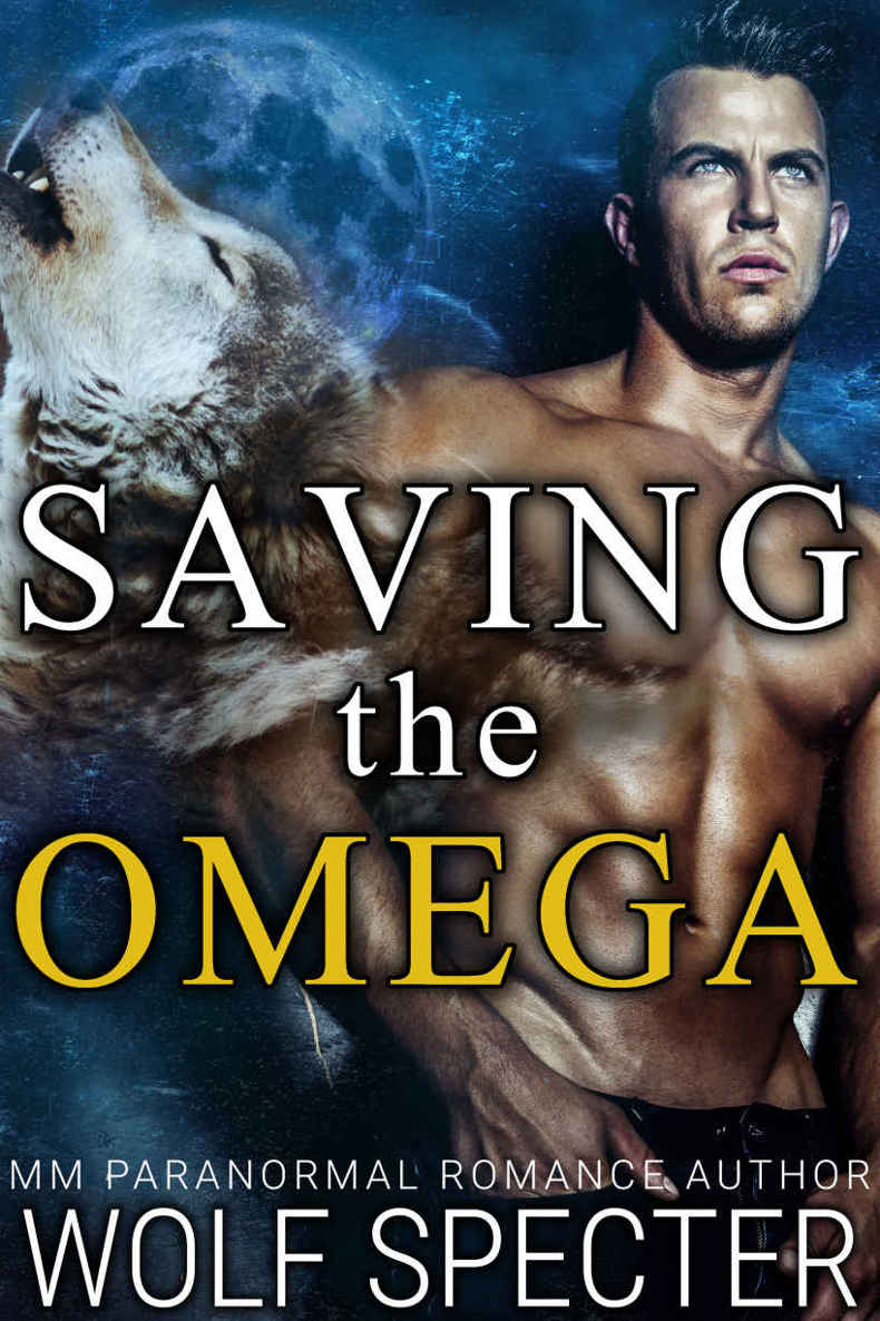 Saving the Omega (M/M Gay Shifter MPreg Romance)