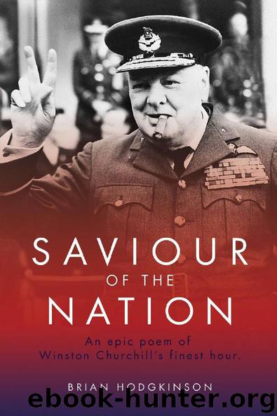 Saviour of the Nation by Hodgkinson Brian