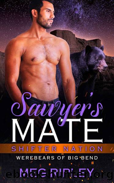 Sawyer's Mate_Shifter Nation_Werebears Of Big Bend by Meg Ripley