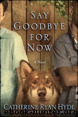 Say Goodbye for Now by Hyde Catherine Ryan