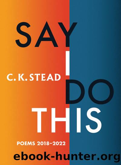 Say I Do This by C. K. Stead