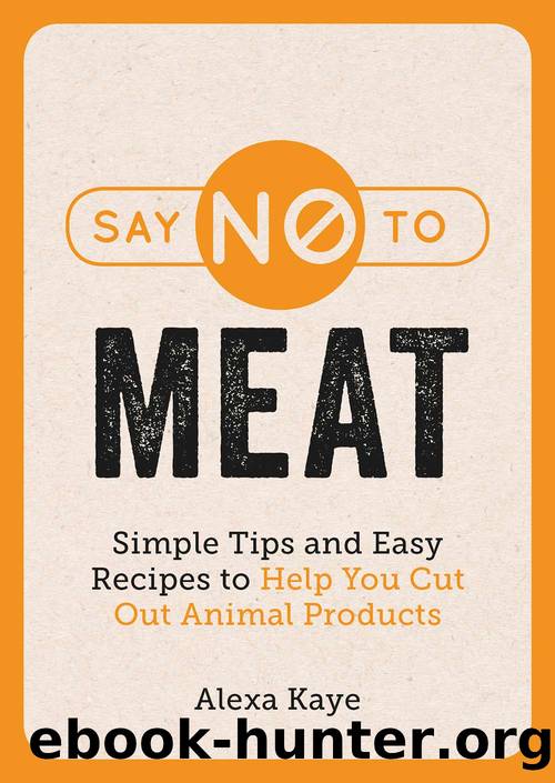 Say No to Meat by Alexa Kaye