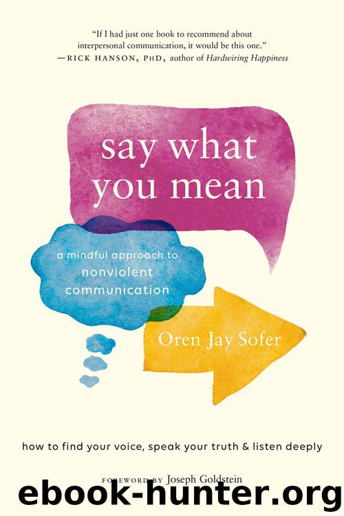 Say What You Mean by Oren Jay Sofer