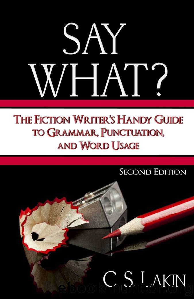 Say What?: The Fiction Writer's Handy Guide to Grammar, Punctuation, and Word Usage by C. S. Lakin