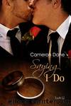 Saying I Do by Cameron Dane