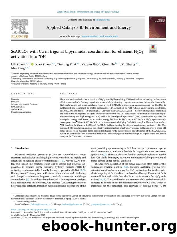 ScAlCuO4 with Cu in trigonal bipyramidal coordination for efficient H2O2 activation into â¢OH by Lili Zhang
