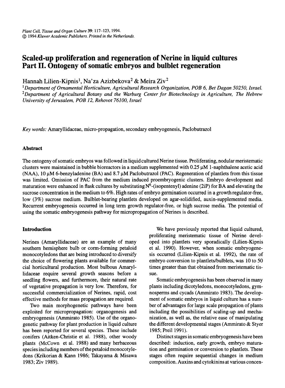 Scaled-up proliferation and regeneration of Nerine in liquid cultures Part II. Ontogeny of somatic embryos and bulblet regeneration by Unknown