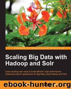 Scaling Big Data with Hadoop and Solr by 2013