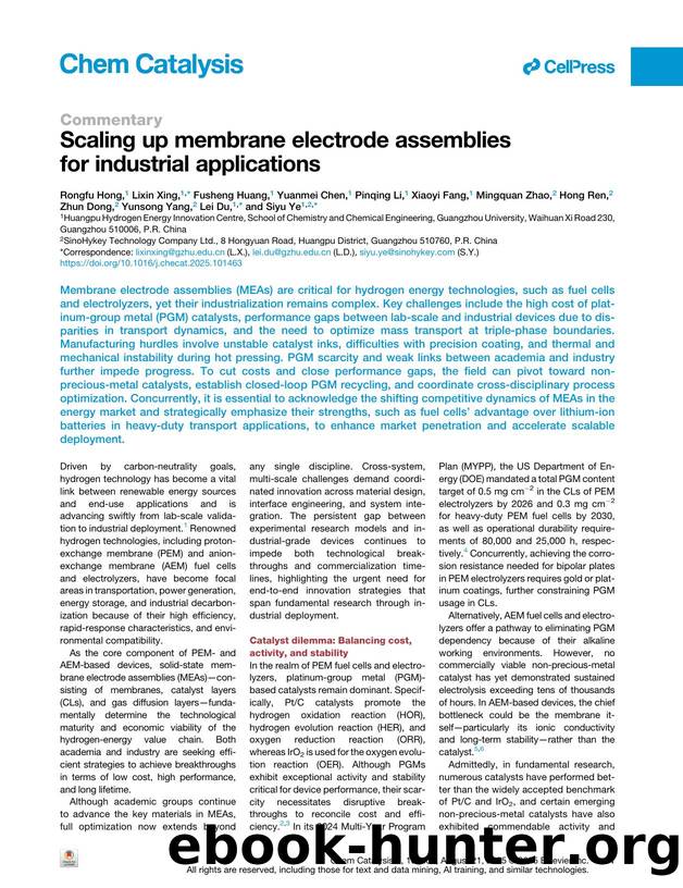 Scaling up membrane electrode assemblies for industrial applications by unknow