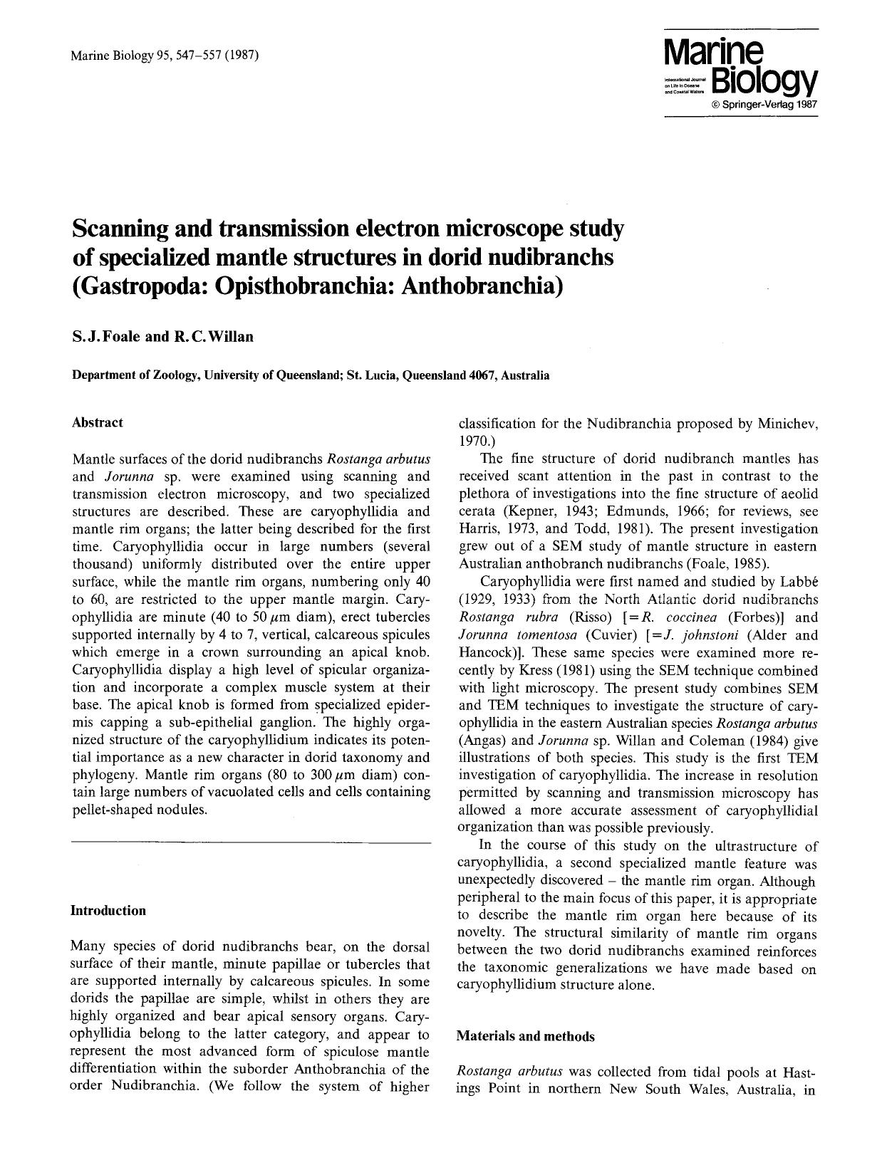 Scanning and transmission electron microscope study of specialized mantle structures in dorid nudibranchs (Gastropoda: Opisthobranchia: Anthobranchia) by Unknown