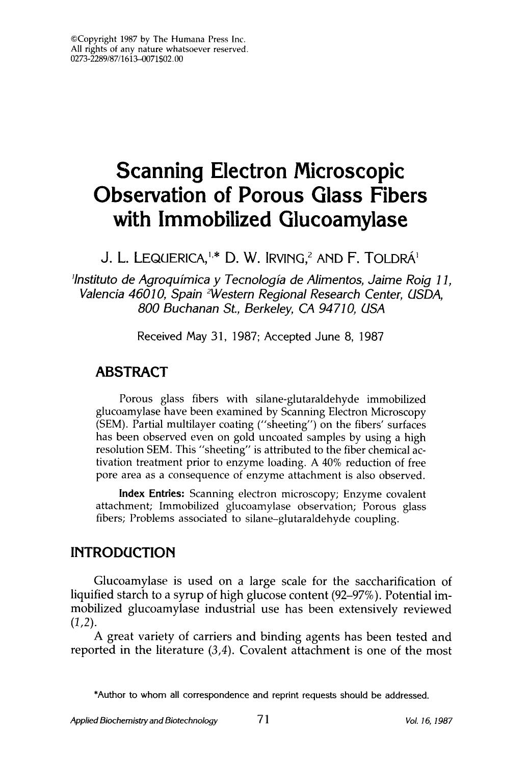 Scanning electron microscopic observation of porous glass fibers with immobilized glucoamylase by Unknown