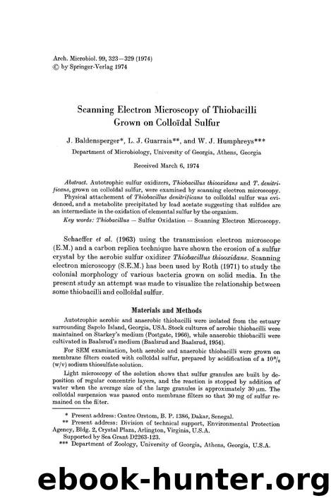 Scanning electron microscopy of thiobacilli grown on collo&#x00EF;dal sulfur by Unknown