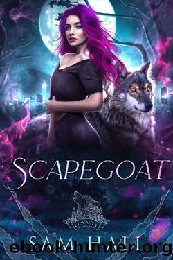 Scapegoat (Scapegoats and Misfits Book 1) by Sam Hall