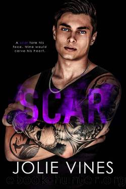 Scar (Dark Island Scots, #3) by Jolie Vines
