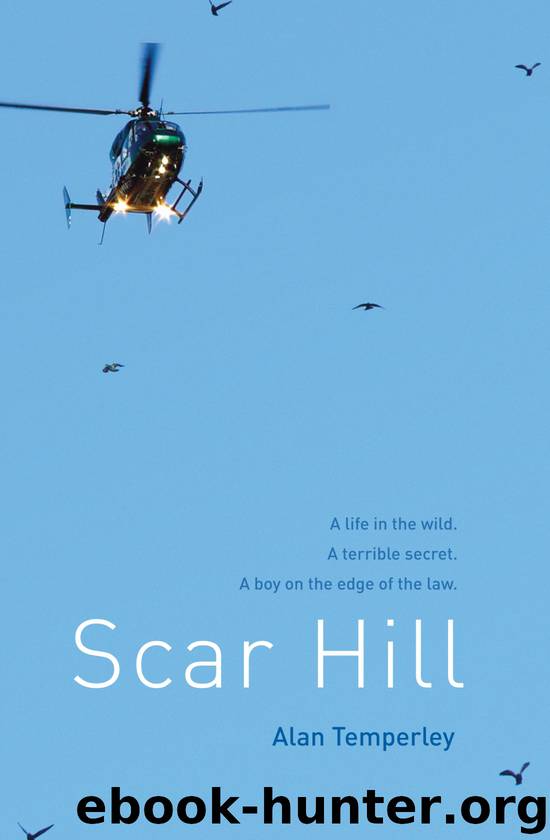 Scar Hill by Alan Temperley