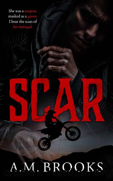 Scar by A.M. Brooks