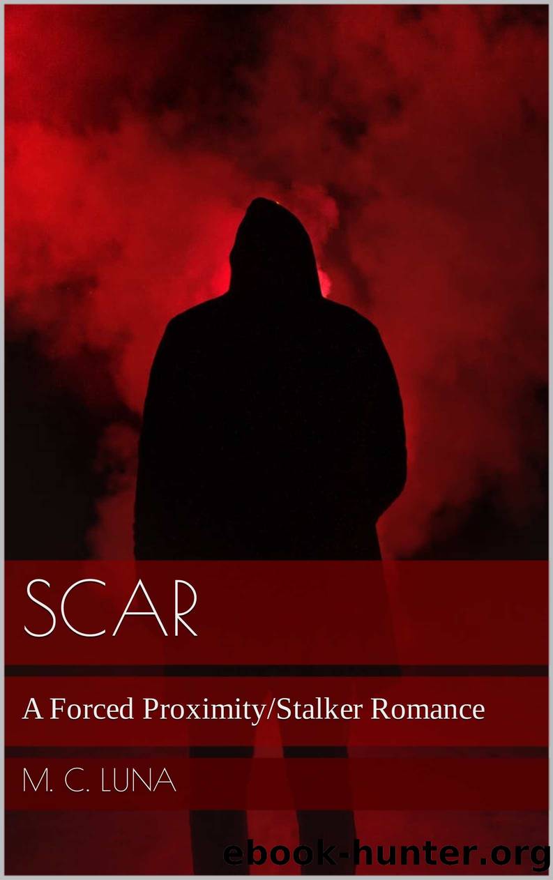Scar by Luna M. C