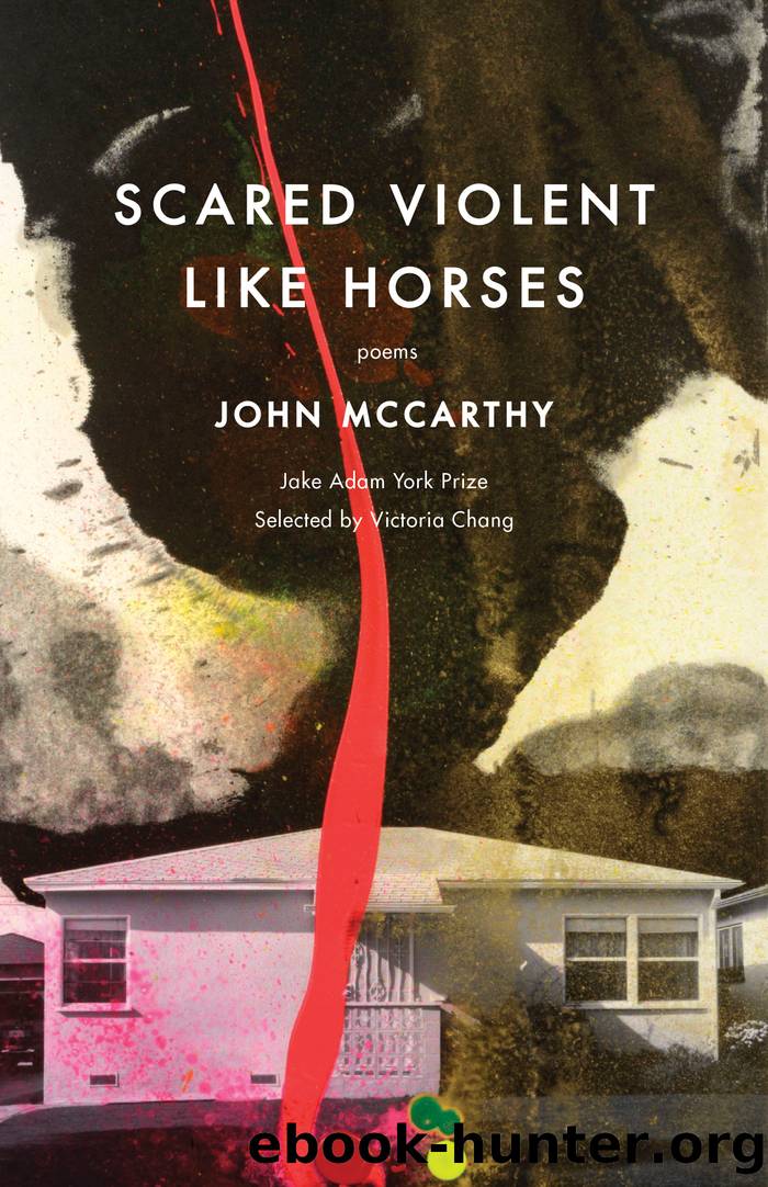 Scared Violent Like Horses by John McCarthy
