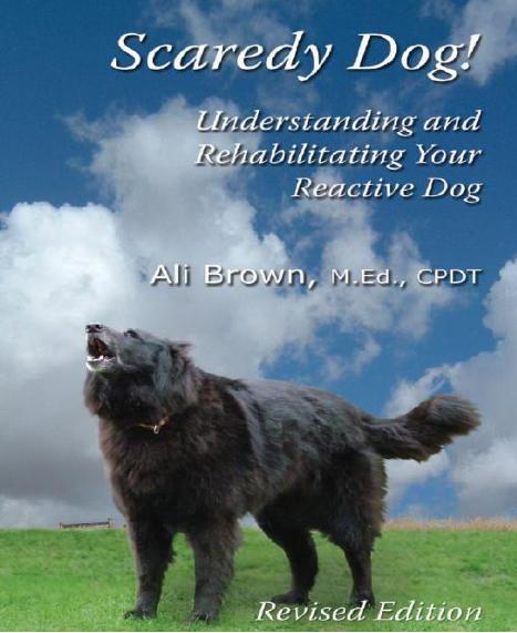 Scaredy Dog! Understanding & Rehabilitating Your Reactive Dog by Brown Ali