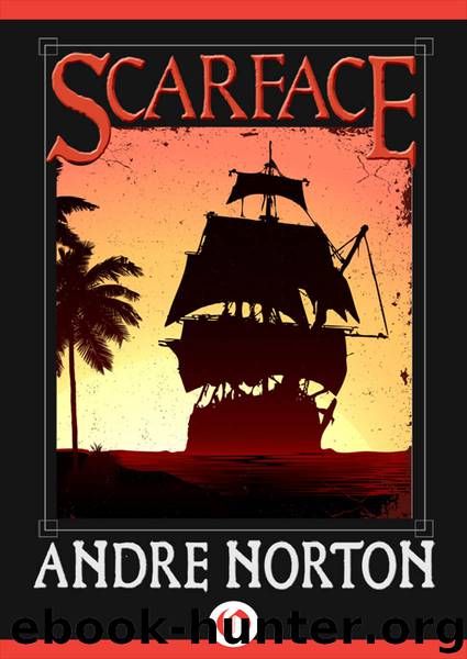 Scarface by Andre Norton