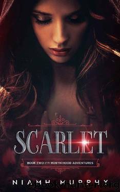 Scarlet (The Robyn Hood Adventures Book 2) by Niamh Murphy