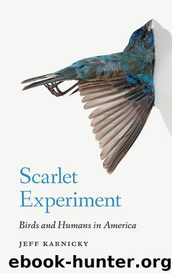 Scarlet Experiment by Karnicky Jeff;