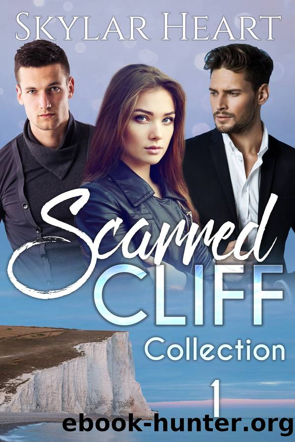 Scarred Cliff Collection 1 by Skylar Heart